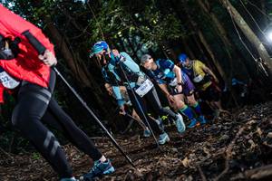 BIB: 1056
                            <button type="button" onclick="openModal(19041501)" class="btn btn-primary btn-sm float-right btn-popup" data-toggle="modal" data-target=".modal-high-quality">
                        <i class="fas fa-shopping-cart"></i> Add to Cart
                    </button>
                                            <button type="button" onclick="isThisMe(19041501, true)" class="btn btn-success btn-sm float-right btn-popup btn-isme hidden" data-toggle="tooltip" data-placement="bottom" title="นี่คือรูปของคุณใช่ไหม คลิกที่นี่เพื่อเอาเข้าอัลบั้ม">
                        <i class="fas fa-plus"></i> Add to album
                    </button>
                    <button type="button" onclick="isThisMe(19041501, false)" class="btn btn-warning btn-sm float-right btn-popup btn-isnotme hidden">
                        <i class="fas fa-ban"></i> Remove from album
                    </button>